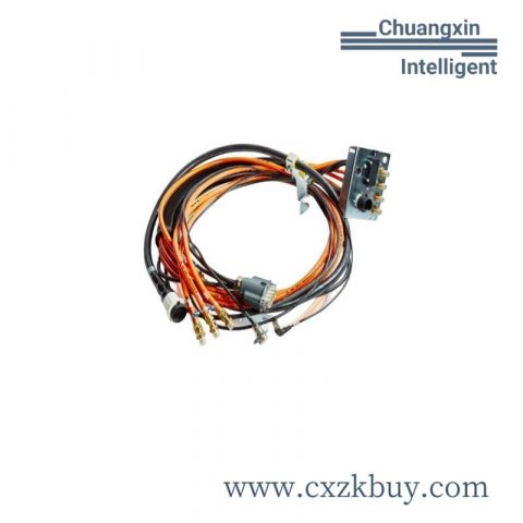 TRICONEX 2481 AI2481 Industrial Control Module