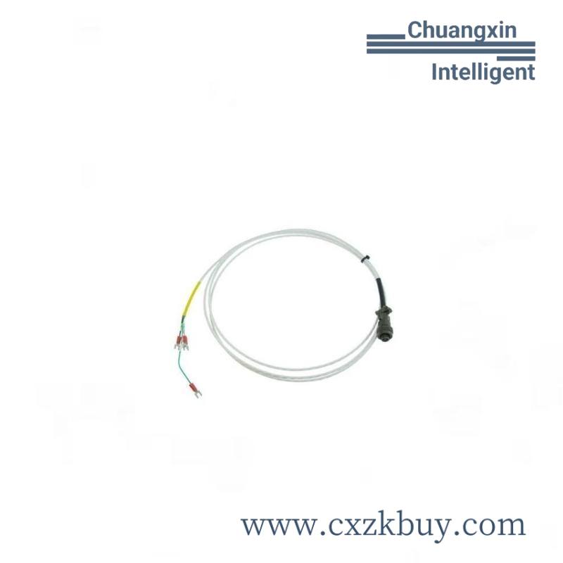 bently_nevada_16925-15_interconnect_cable_without_armor.jpg Allen-Bradley 1771-DS Digital Input Module