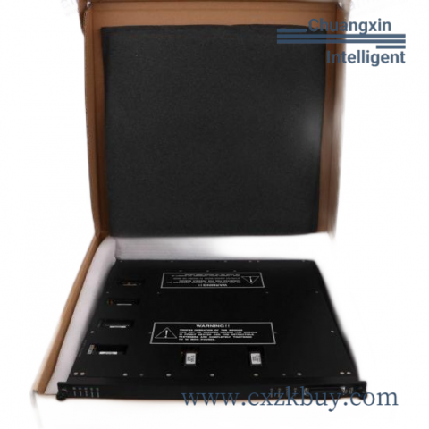 TRICONEX D06603 Custom Processing Module for Industrial Control Systems