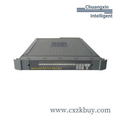 ICS Triplex TC-302 Off-the-Shelf PLC Module