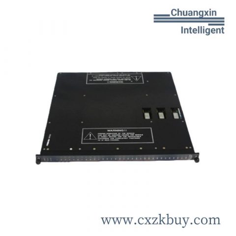 TRICONEX A20B-1002-0350 High-Performance Control Module