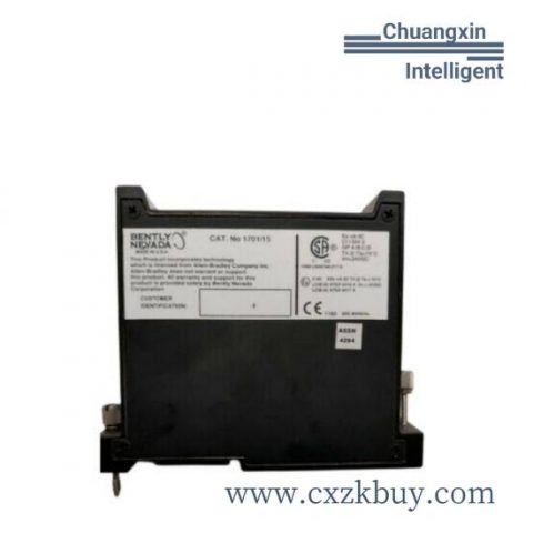 Bently 27890-1-00-40-50-2 Industrial Vibration Monitoring Module