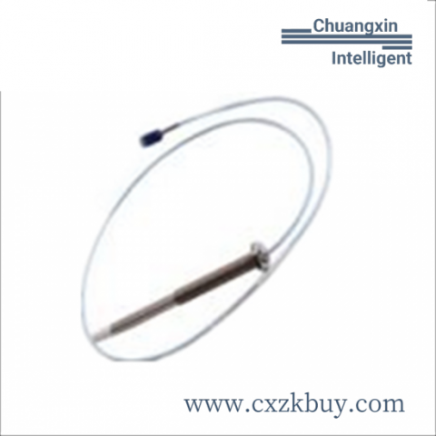 Bently Nevada 100M2833 - Advanced Condition Monitoring System Module