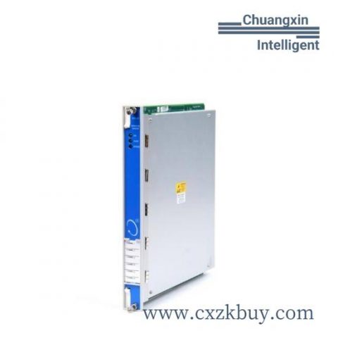 Bently 1900/65-00-01-03-00-00 Industrial Module