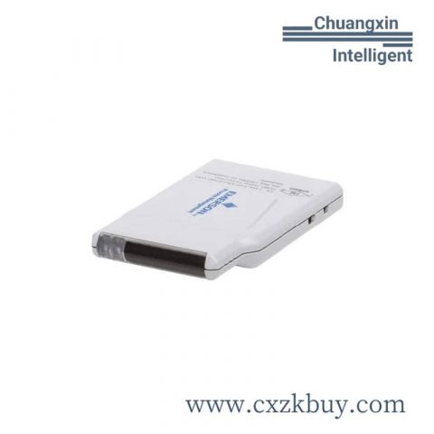 Emerson GFK-1812A Control Programming Data Panel 20 User's Manual