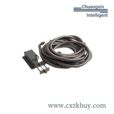 Emerson 405A528G21 Control Module for Industrial Automation Systems