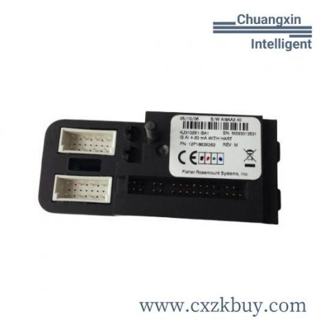 EMERSON CE4005S2B1 Programmable Relay Platform