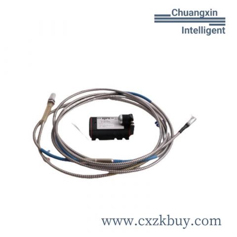 Emerson 589C556G04 Control Module - Precision Industrial Automation