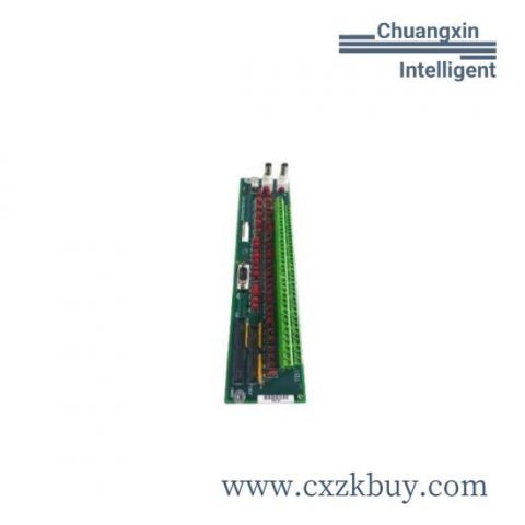 GE DS200TBQAG Analog Input Module