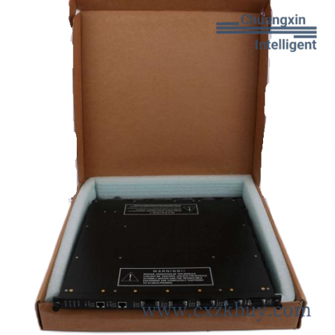 Triconex 9761-210 Panel Field Termination for Industrial Automation