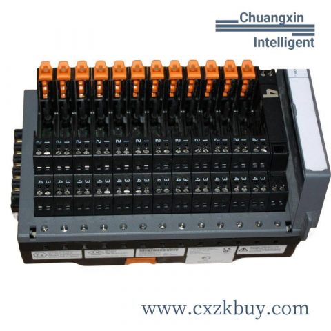 Emerson GFK-0825 Field Control Genius Bus Interface Unit User's Manual