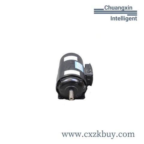 GE GEORGII KOBOLD KPG506.30 Industrial Control Module