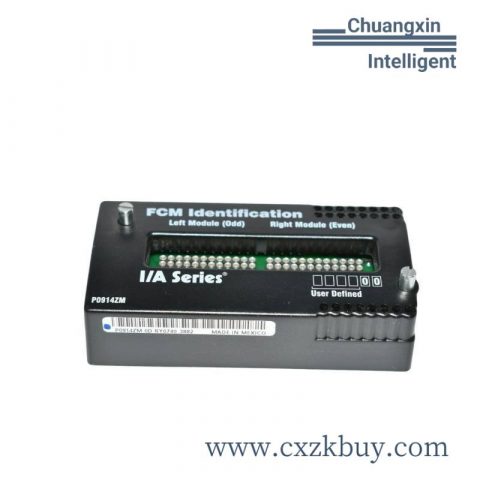 Foxboro P0916VJ Module - Industrial Automation Control Component