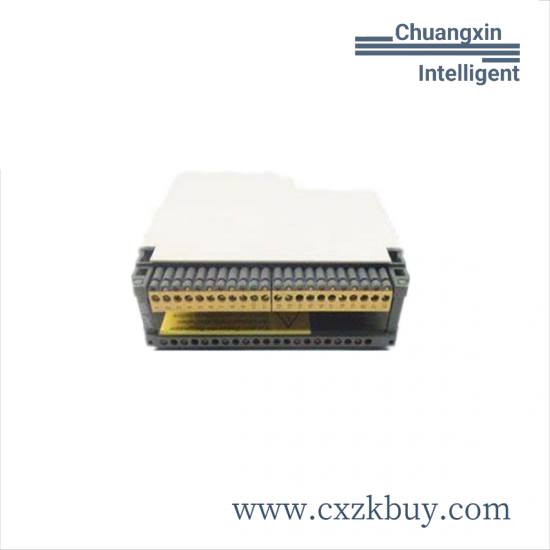 schneider_as-bdap-208_discrete_output_relay-2.png Schneider AS-B885-002 Advanced Automation Module