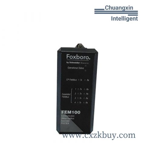 FOXBORO FEM100 P0973CA High Precision Industrial Automation Module