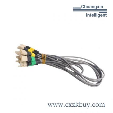 TOPWORX DXP-0X1GNEB Industrial Control Module for Seamless Networking Solutions