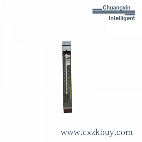 ICS TRIPLEX T8461C Digital Output Module, PLC Component