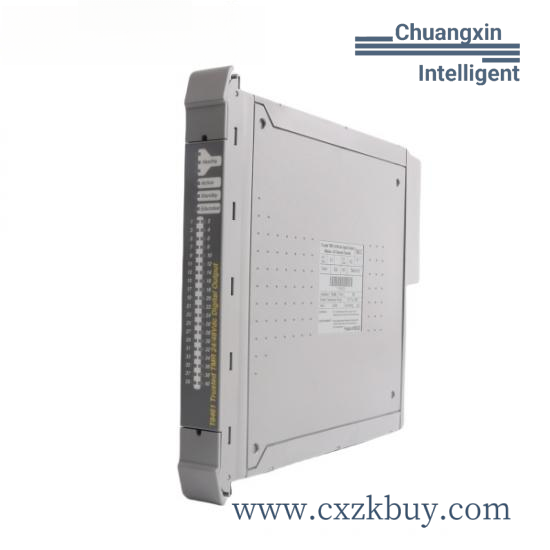 ics_triplex_t8461c_1.png ICS TRIPLEX T8461C Digital Output Module, PLC Component