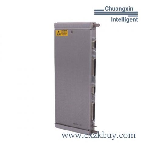 Bently Nevada 125760-01 Digital Communication Fieldbus Signal Module