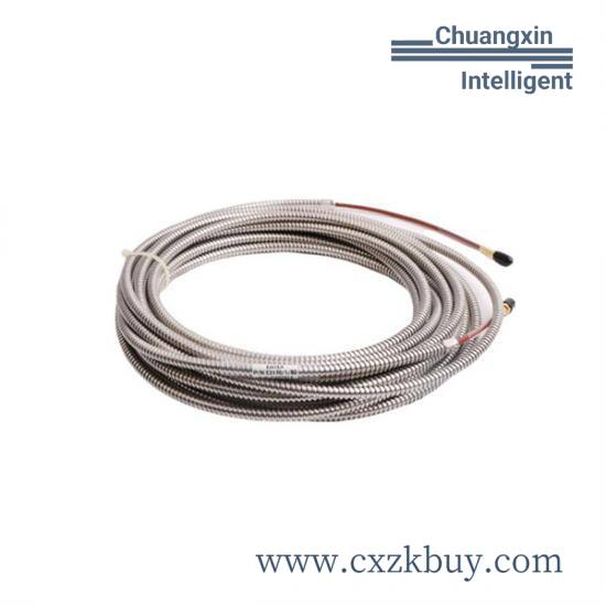 entek_c6660.jpg ENTEK C6660 Radial Vibration Sensor Module - Industrial Grade Precision Monitoring