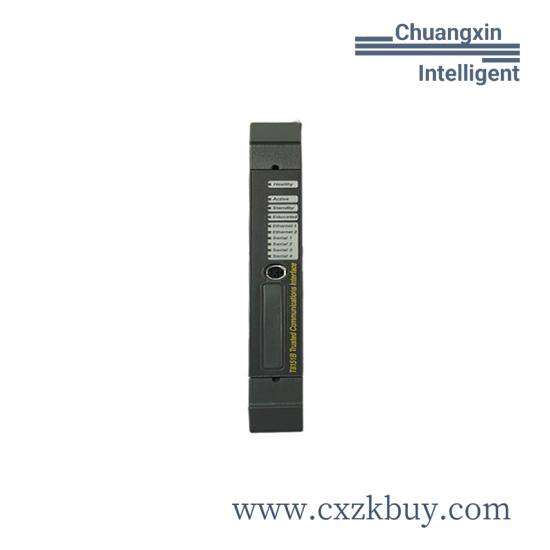 ics_triplex_t8151b_2.jpg ICS Triplex T8151B Specialized Interface Module for Production Lines, Railways, and Water Treatment Equipment