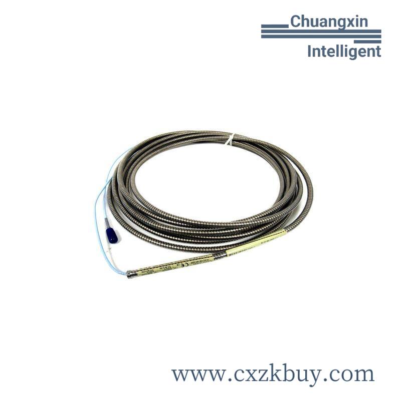 bently_3500_91-01-01_161204-01_161216-01_2.jpg Bently 3500/91-01-01 (161204-01 + 161216-01)