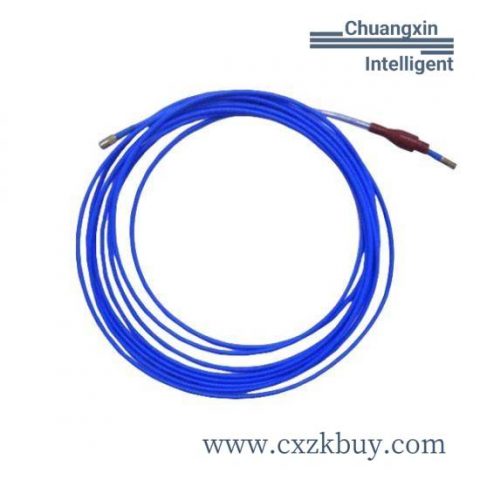 Bently Nevada 3300/20-12-01-03-00-00 Vibration Monitoring System Module