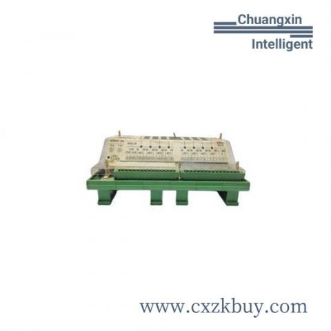 WOODWARD 9905-973 Custom Processing Module